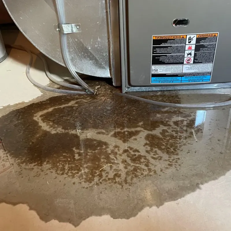 Pipe Burst and Leak Restoration in Ashburn, VA